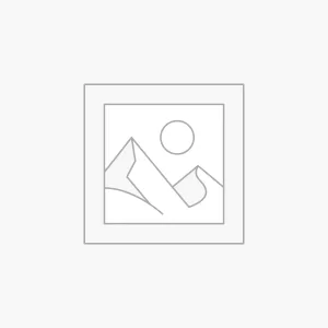 Digital Marketing Services